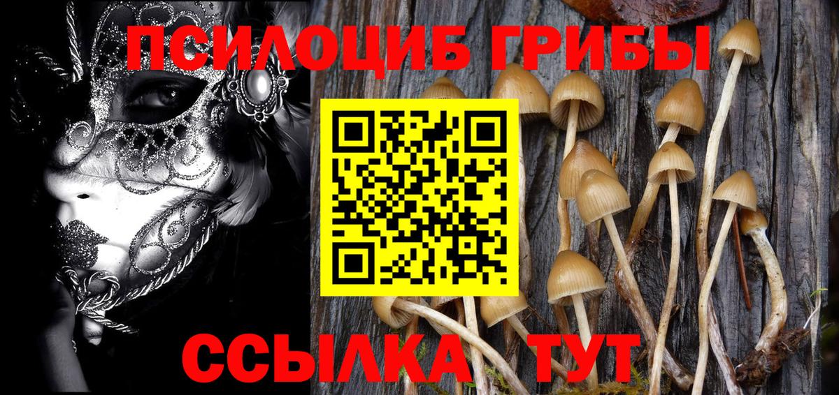 Псилоцибиновые грибы MAGIC MUSHROOMS Ялуторовск